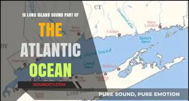 Exploring the Connection: Long Island Sound and the Atlantic Ocean