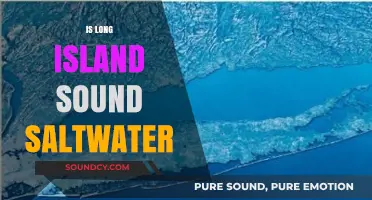 Is Long Island Sound Saltwater? Unraveling the Estuary's Salinity Mystery