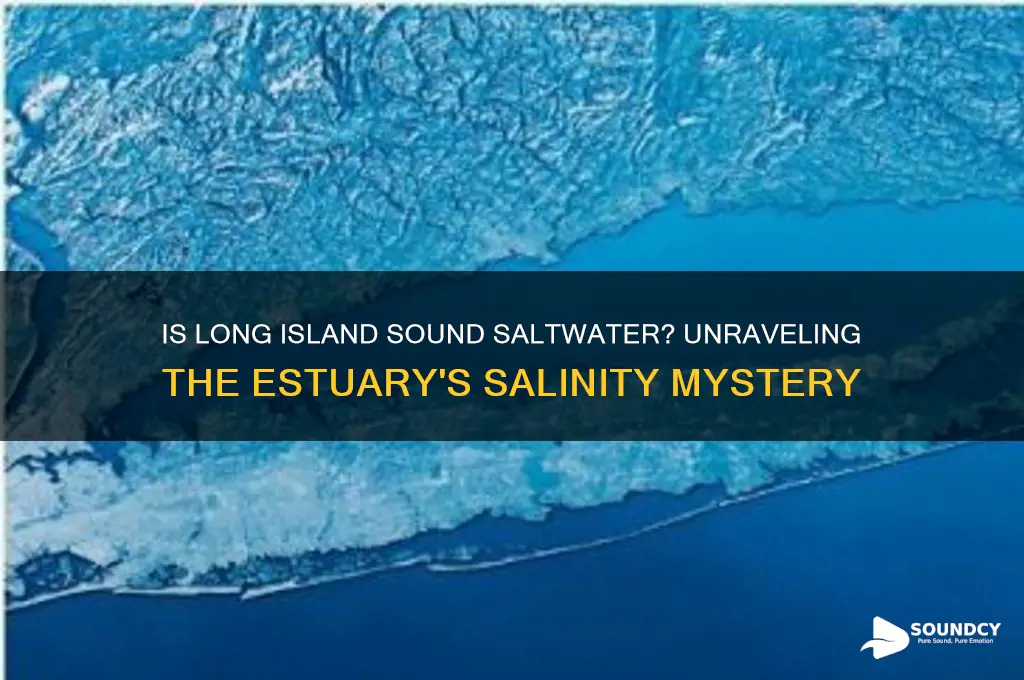 is long island sound saltwater