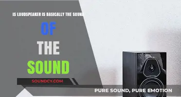 Exploring the Essence: Is a Loudspeaker Simply Sound Incarnate?