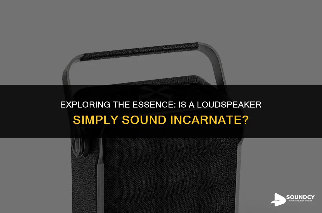 is loudspeaker is basically the sound of the sound