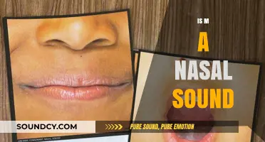 Is 'M' a Nasal Sound? Exploring Phonetics and Articulation