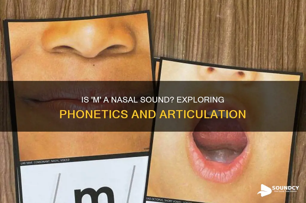 is m a nasal sound