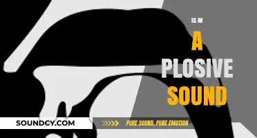Is 'M' a Plosive Sound? Exploring Phonetics and Articulation