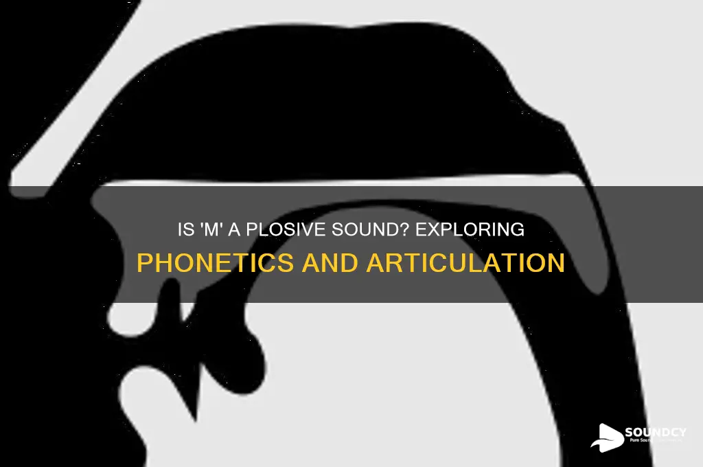 is m a plosive sound