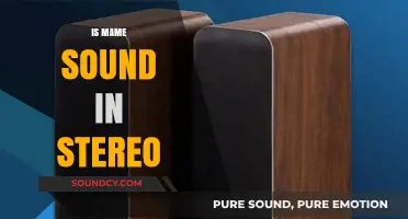 Is MAME Sound in Stereo? Exploring Audio Capabilities and Limitations