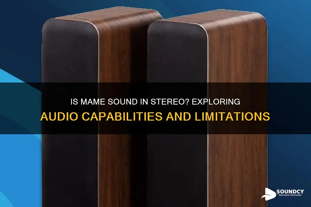 is mame sound in stereo