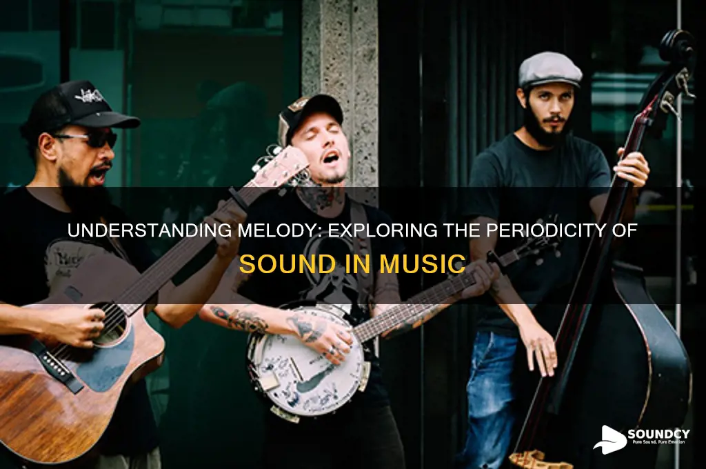 is melody periodicity of sound