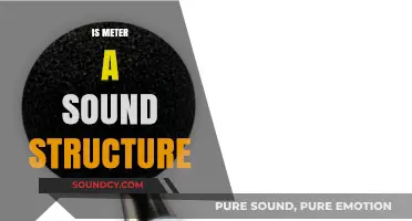 Is Meter a Sound Structure? Exploring Rhythms in Poetry and Beyond