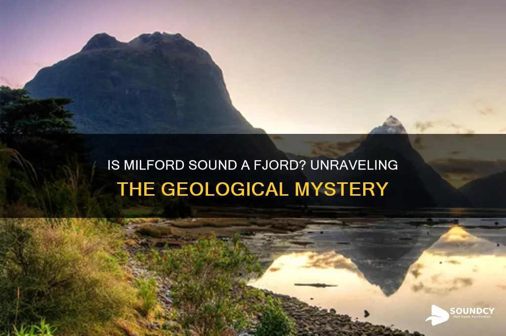 is milford sound a fjord
