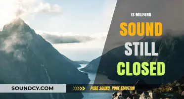 Is Milford Sound Still Closed? Latest Updates and Travel Advice