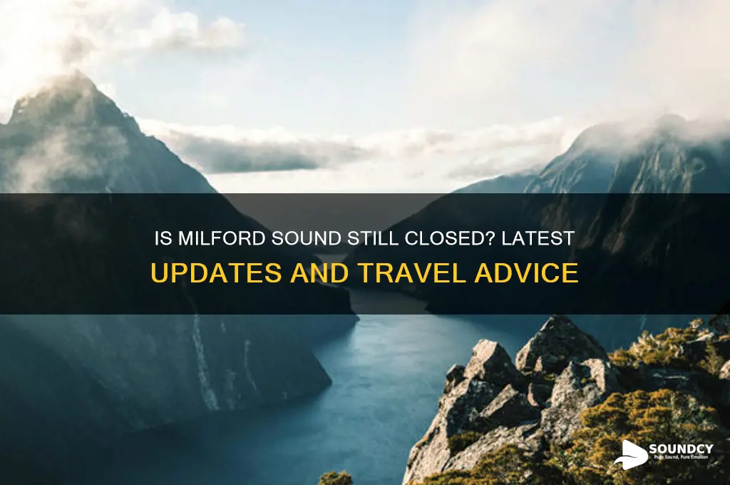 is milford sound still closed
