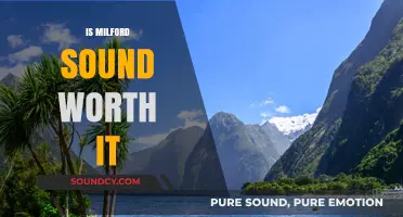 Is Milford Sound Worth It? Exploring New Zealand's Stunning Fiordland Gem