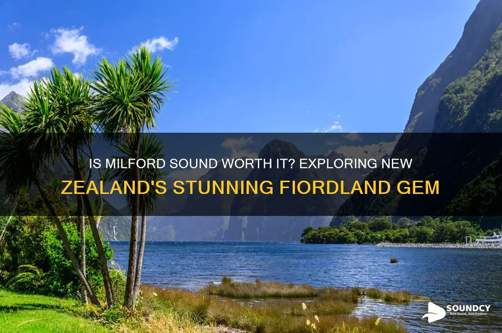 is milford sound worth it