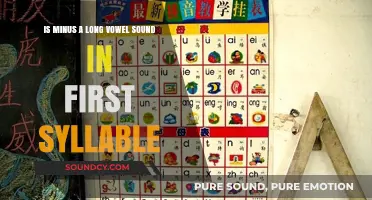 Exploring Phonetics: The Elusive Minus Vowel Sound in Syllables