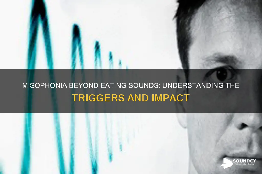 is misophonia just eating sounds