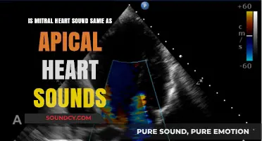 Understanding Heart Sounds: Mitral vs. Apical - A Comprehensive Guide