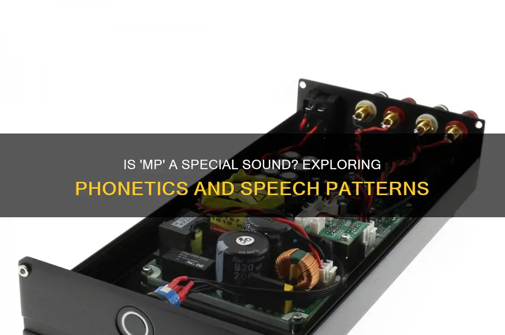 is mp a special sound