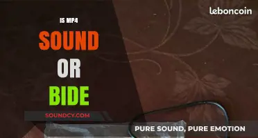 MP4 Explained: Understanding Its Role as Video and Audio Format