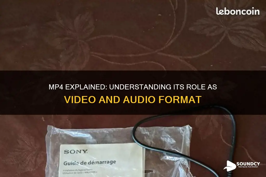 is mp4 sound or bide