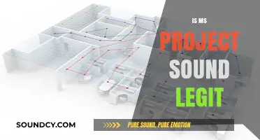 Is MS Project Sound Legit? Uncovering the Truth Behind the Hype