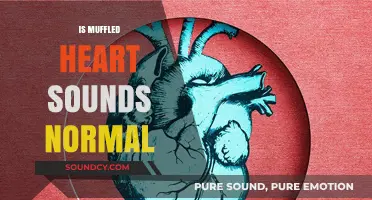 Are Muffled Heart Sounds Normal? Understanding Causes and Concerns