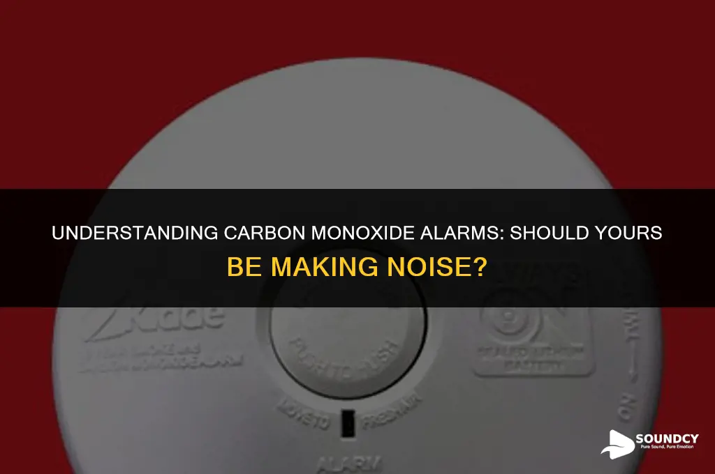 is my carbon monoxide supposed to make a sound
