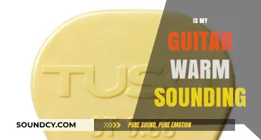 Is Your Guitar Warm-Sounding? How to Identify and Enhance Its Tone