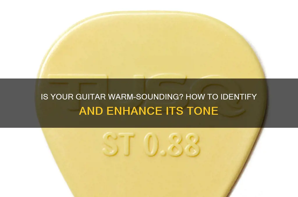 is my guitar warm sounding