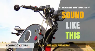 Decoding Your Motorized Bike's Noises: What's Normal and What's Not