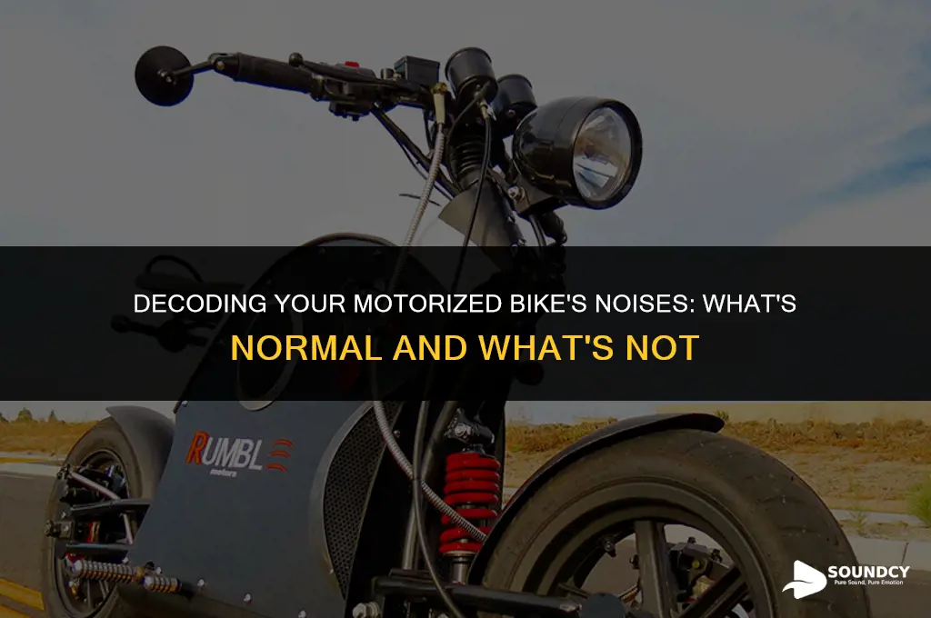 is my motorized bike supposed to sound like this