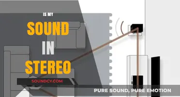 Is Your Sound in Stereo? A Guide to Audio Setup and Testing