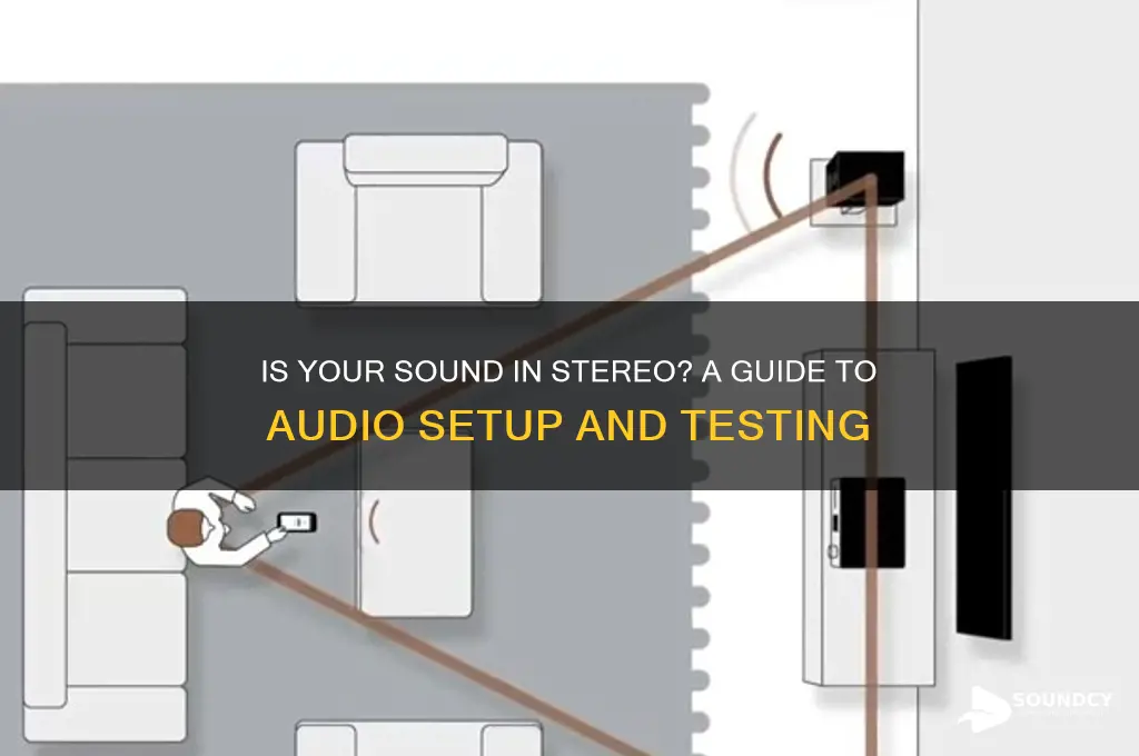 is my sound in stereo