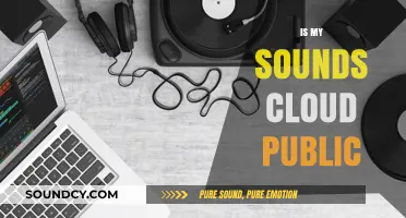 Is Your SoundCloud Public? Understanding Privacy Settings and Visibility