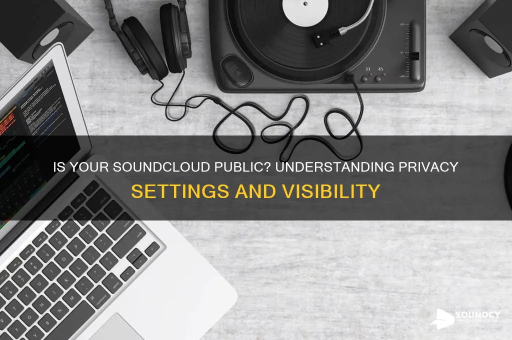 is my sounds cloud public