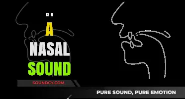 Is 'N' a Nasal Sound? Exploring Phonetics and Articulation