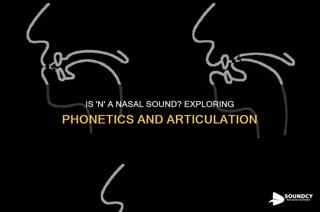 is n a nasal sound