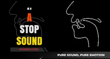 Is 'N' a Stop Sound? Exploring Nasal Consonants in Phonetics