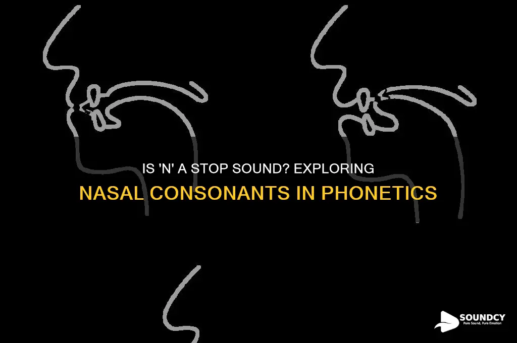 is n a stop sound