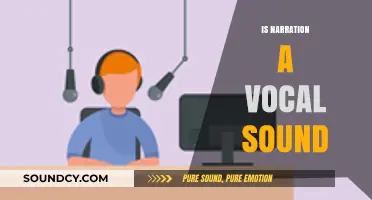 Is Narration a Vocal Sound? Exploring the Voice's Role in Storytelling