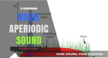 Understanding Narrowband Noise: Aperiodic Sound Characteristics and Implications