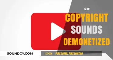 Is No Copyright Sounds Demonetized? Understanding YouTube's Music Policies