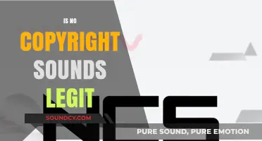Is No Copyright Sounds Legit? Unraveling the Truth Behind Free Music