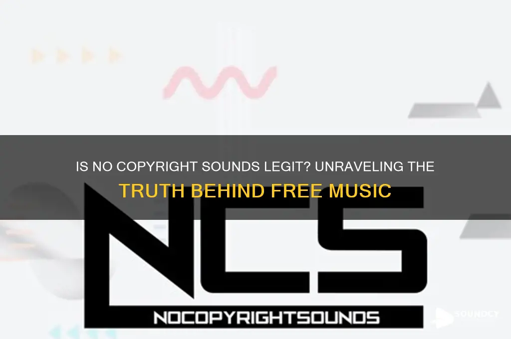 is no copyright sounds legit