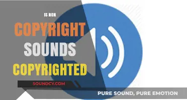 Are Non-Copyright Sounds Truly Free from Copyright Restrictions?