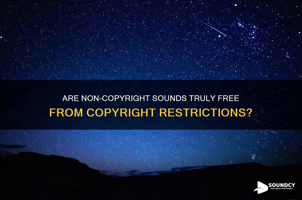 is non copyright sounds copyrighted