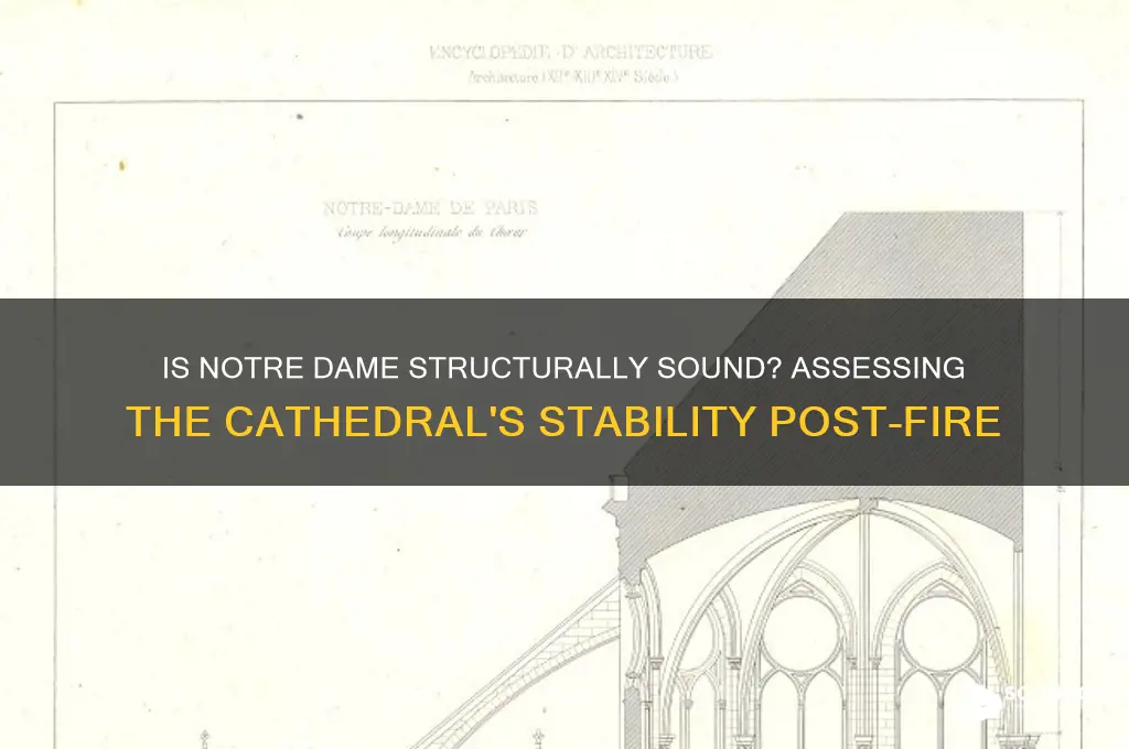 is notre dame structurally sound