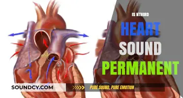 Is a Third Heart Sound Permanent? Understanding S3 and Its Implications