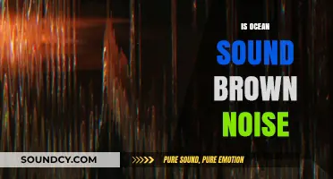 Ocean Sounds and Brown Noise: Unraveling the Calming Connection