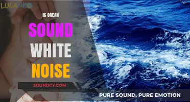 Ocean Sounds as White Noise: Relaxation or Distraction?